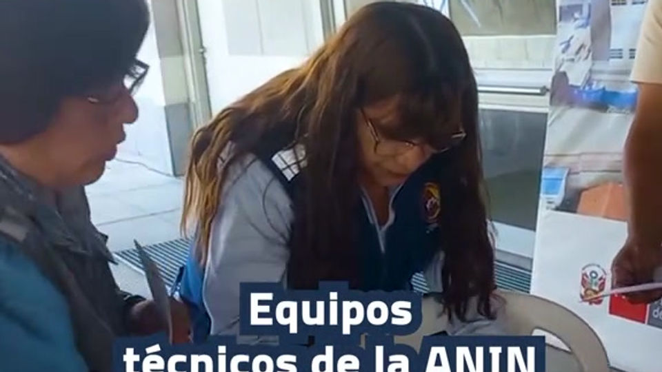 Proyecto Emblemático